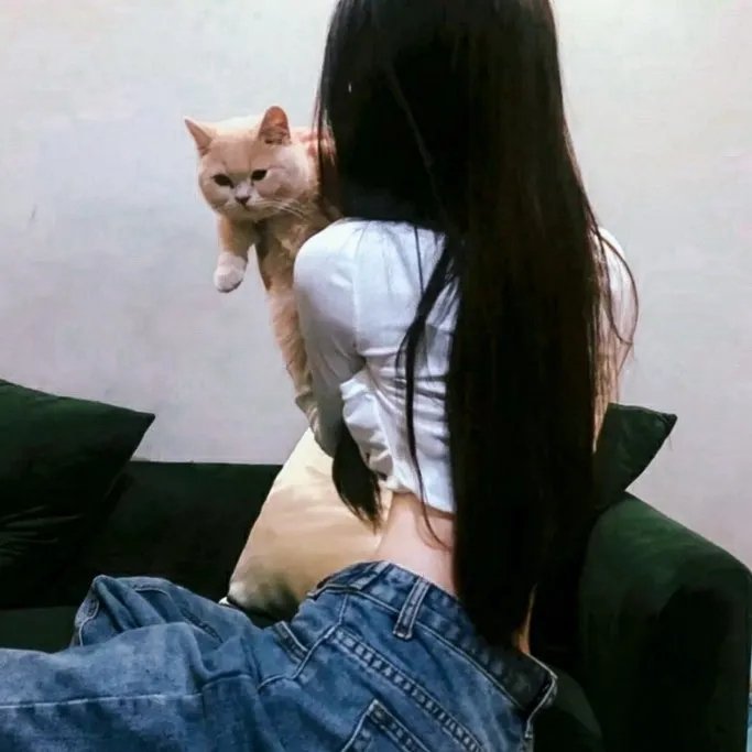 战鸽总动员